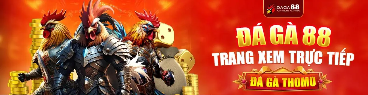 Cá cược bóng rổ tt88win